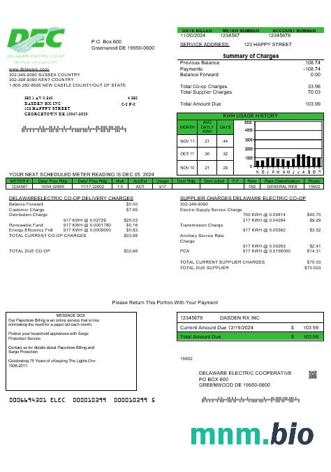 USA Delaware Electric Co-op rachunek za usługi komunalne szablon w formacie Word i PDF